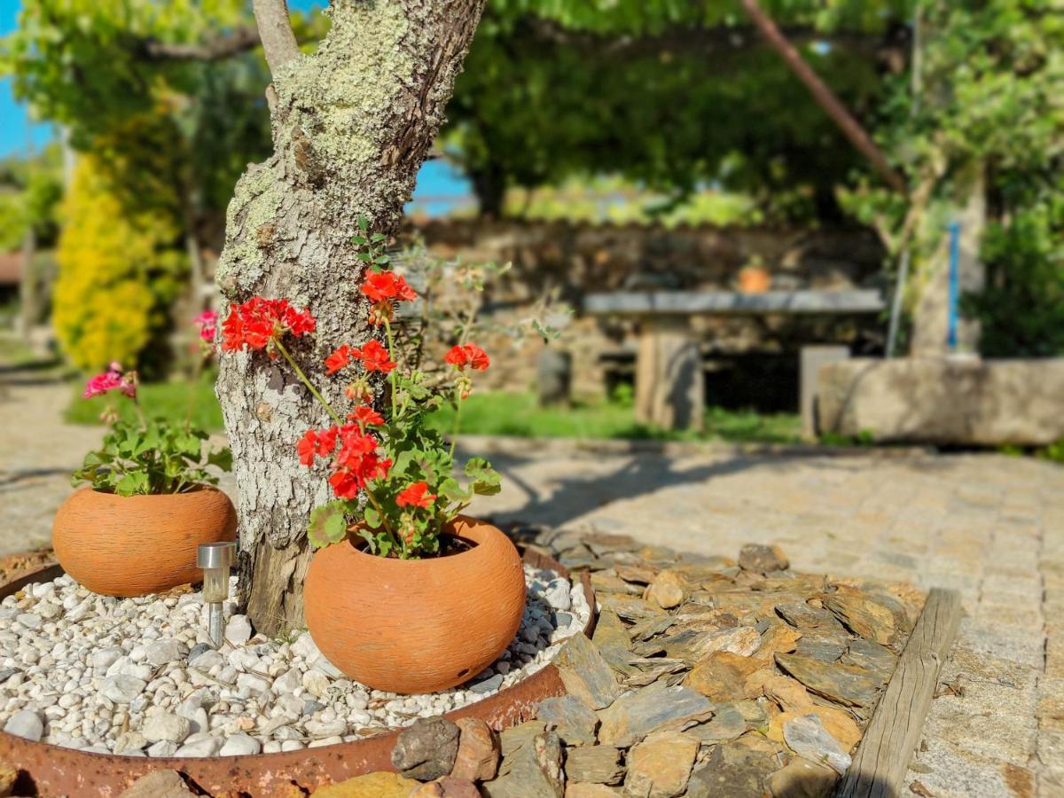 Casa Do Casal - Country House With Swimming Pool Виана до Кастело Екстериор снимка